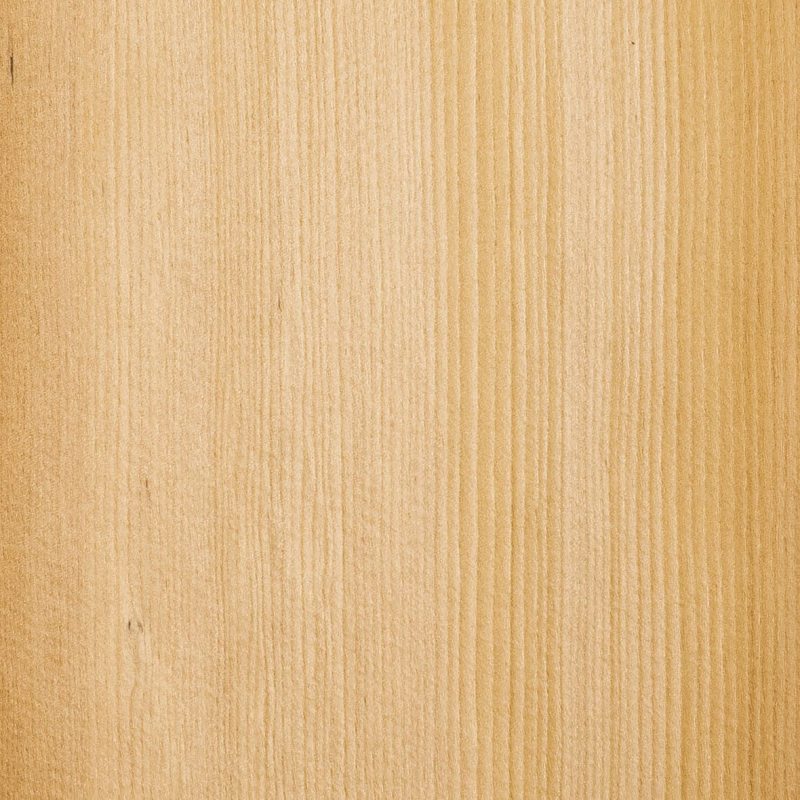 Hemlock